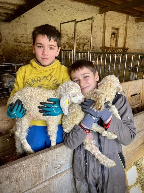 Visite et soins des animaux 1 / 1