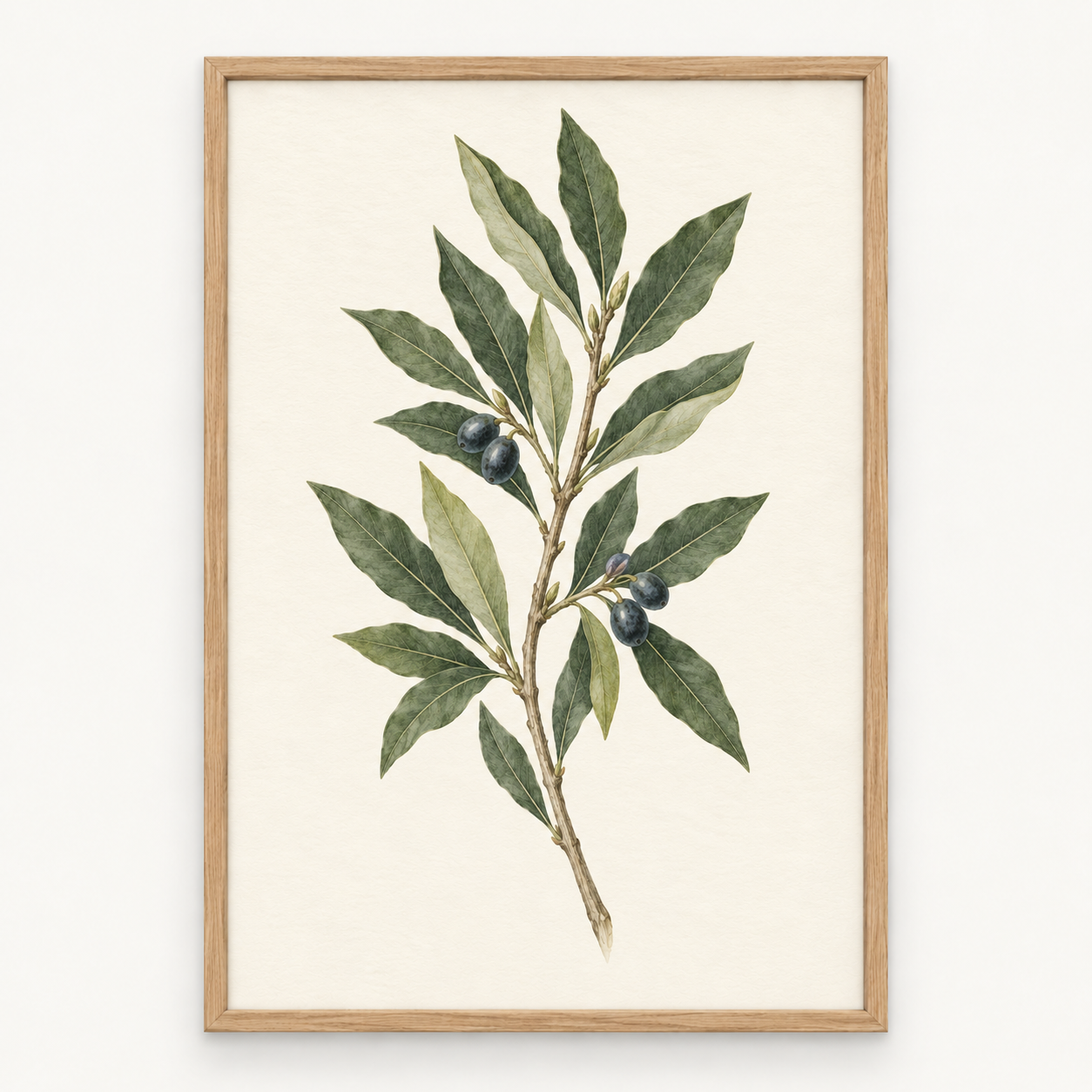 Laurel
